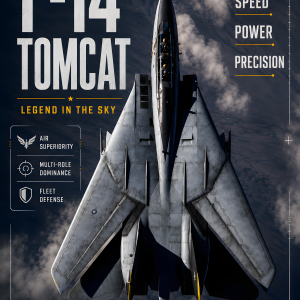 F 14 Tomcat | 3D Sculpted Metal Poster