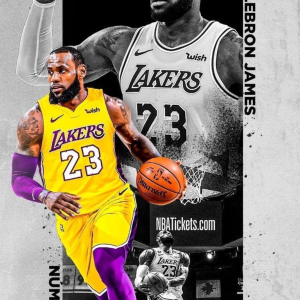 LeBron James | 3D Sculpted Metal Poster